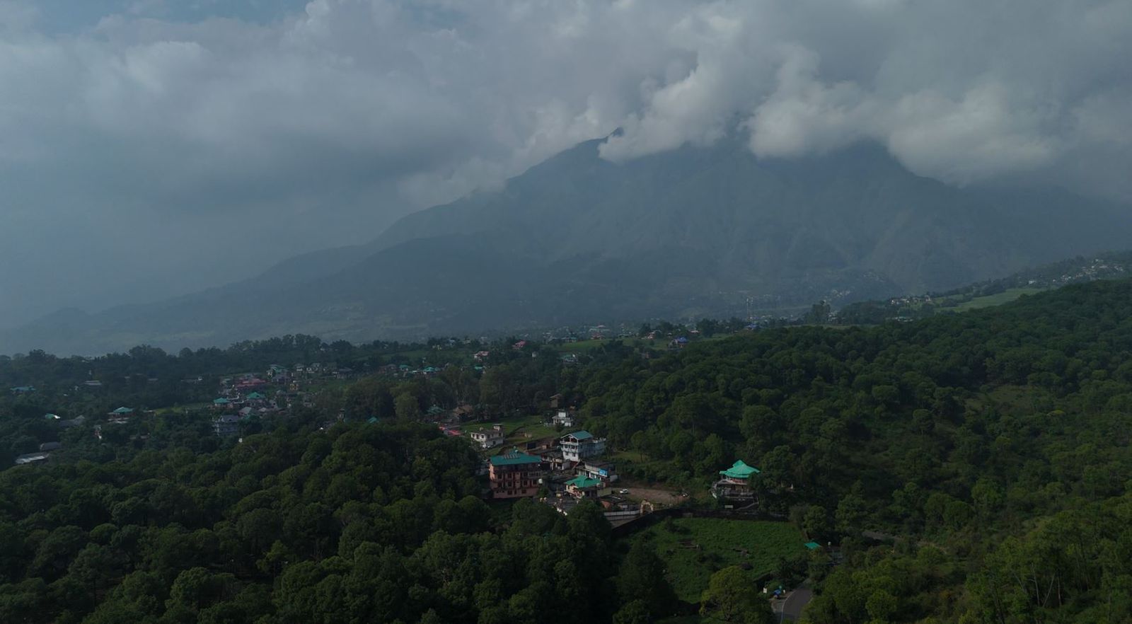 Dhauladhar views over the forest